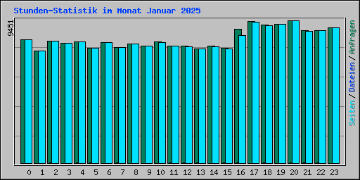 Stunden-Statistik im Monat Januar 2025